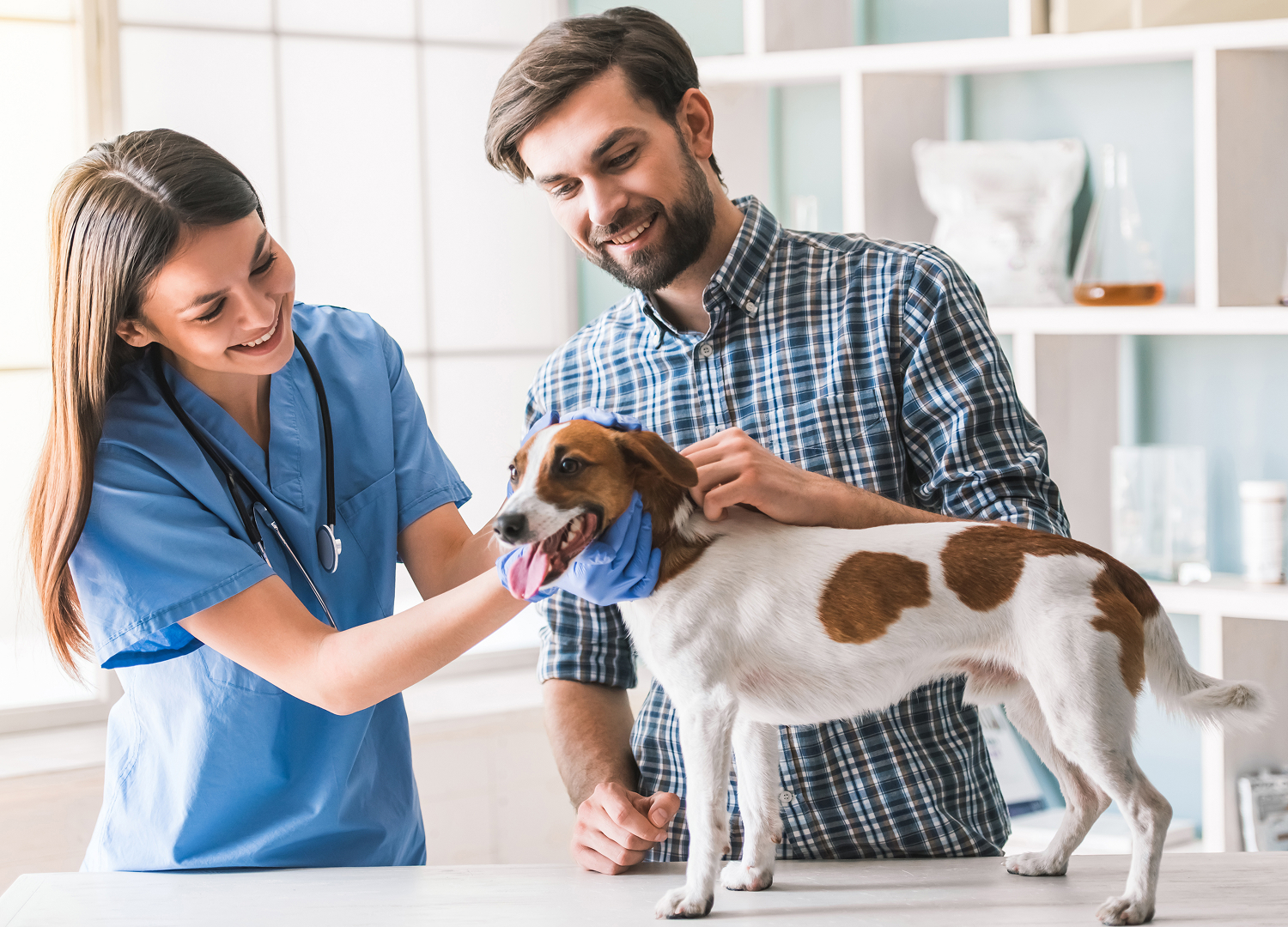 Pets and Pet Care